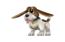 Excited Beagle: Normal