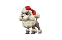 Haughty Poodle: Normal