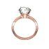 Blessed Decoration Ring