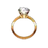 Decoration Ring