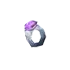 Warrior Ring of Ice