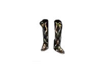 Dione's Silk Boots
