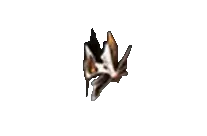 Ambition Helm