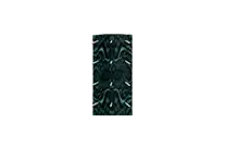 Spiked Shield