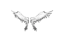 Wings Of Heaven