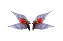 Wings of Accuracy